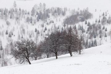 Winter landscape at Rasinari - Paltinis, Sibiu