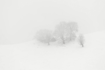 Winter landscape at Rasinari - Paltinis, Sibiu