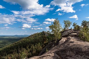 Wooded crest in hot summer day