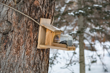 Wooden bird feeder in the snow-covered winter city park
