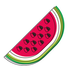 watermelon fresh fruit slice vector illustration design