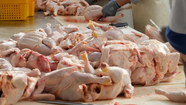 Food processing plant, chicken meat