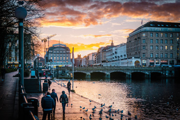 Fototapete bei efototapeten.de bestellen   