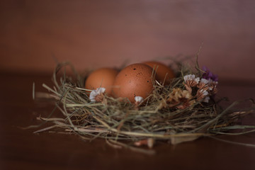 Eggs in natural nest on the table. Easter holiday concept.