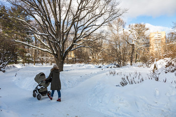 Woman with a baby stroller walks through the winter park in the frost
