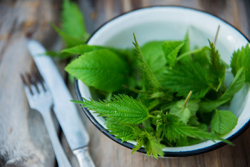 Freshly picked young nettles in a bowl ready for salad (Urtica dioica)