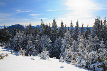 Obraz na płótnie Canvas Winter in the Carpathian Mountains