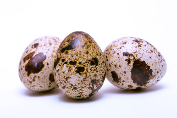 quail egg on a white