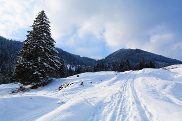 Fototapeta na wymiar Winter in the Carpathian Mountains