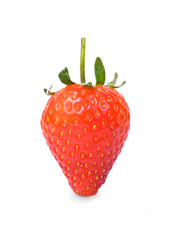 strawberry isolated on white background