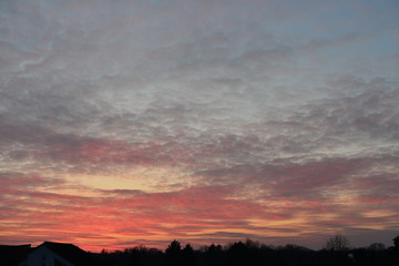 Sky with pink clouds