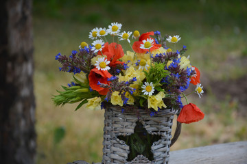 Bouquet from wild valley flowers - poppies, chamomiles and blue and yellow flowers
