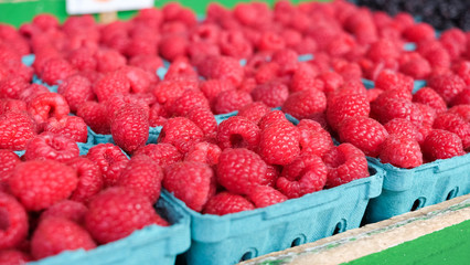 Cartons of Fresh Organic Raspberries