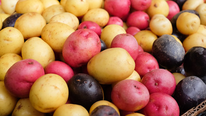 Organic Farmers Market Potatoes