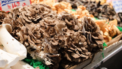 Wild Mushroom Farmers Market Display