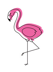 flemish tropical and exotic bird vector illustration design