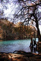 Lago de Camécuaro 4