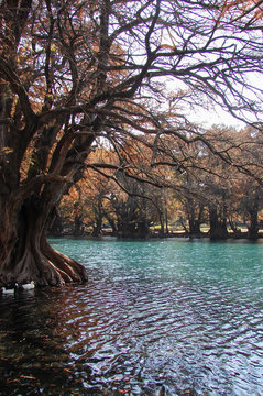 Cam&eacute;cuaro Lake 2