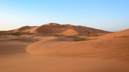 Sahara Desert, Erg Chebi dunes. Merzouga, Morocco