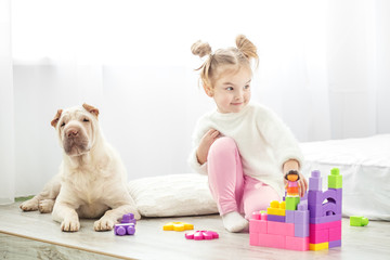 Little girl is playing toys. Child in sweater and pink pants. The dog lies. The concept of lifestyle, childhood, upbringing, family.