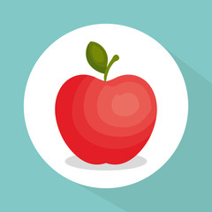 apple fresh fruit icon vector illustration design