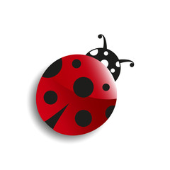 Cute cartoon ladybug. Lucky Symbol. Good luck. Spring, summer, bug, red, object, garden, insect, black, dot. Vector eps 10 illustration