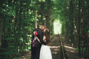 Fototapeta premium Beautiful, perfect couple posing on their wedding day