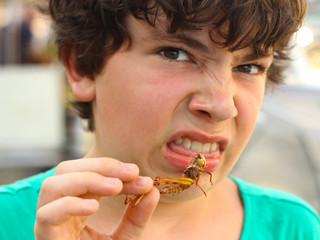boy with disgust grimace hold unusial strange thai food roasted insects