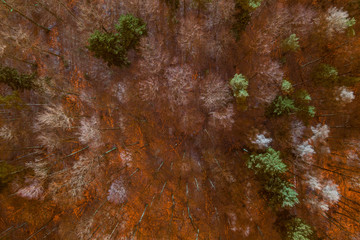 Schneelose Landschaft in der Wintersonne