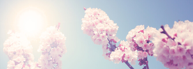 Naklejka premium Der Frühling ist da!