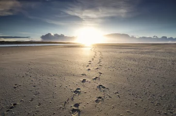 Papier Peint photo Mer du Nord, Pays-Bas traces de pied au soleil à l& 39 horizon