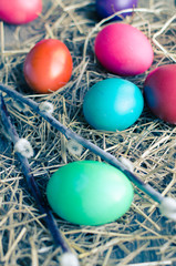 Easter eggs and willow branch on old wooden boards and hay