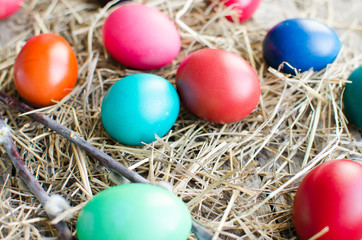 Easter eggs and willow branch on old wooden boards and hay