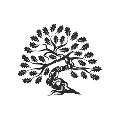 Fototapeta premium Huge and sacred oak tree silhouette logo badge isolated on white background.