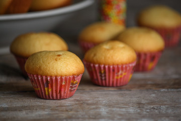 muffins (cupcakes) - fresh pastries on a wooden surface. copy space