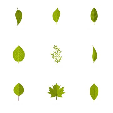 Leaf icons set. flat set of 9 leaf vector icons for web isolated on white background