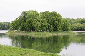 Fototapeta na wymiar Island with trees on the lake