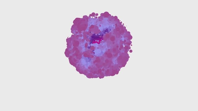 collapsing atom. the core inside. macro level animation.