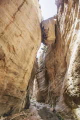 Avakas canyon. Akamas Peninsula. Cyprus landscape