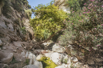 Path to  Avakas canyon. Akamas Peninsula landscape. Cyprus