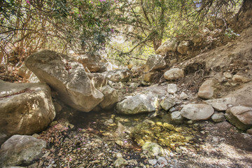 Path to  Avakas canyon. Akamas Peninsula landscape. Cyprus