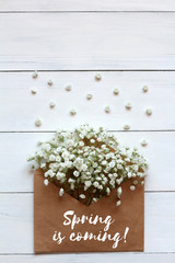 Gipsofila flowers in a paper envelope with the signature spring is coming on a white wooden background