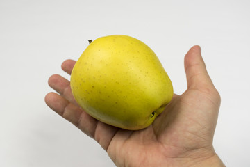 apple on the palm