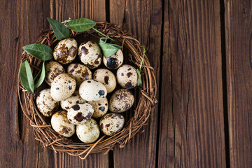 quail eggs in a nest on a wooden background