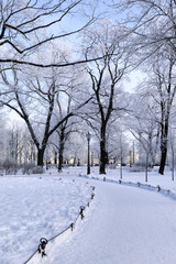 path in the Park among the trees in the snow, snow, winter