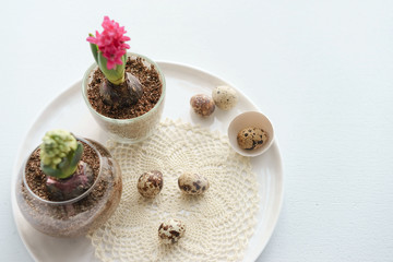 Easter concept, two hyacinths in transparent vases, on a round ceramic plate, a lacy napkin crocheted, quail eggs and eggshells on a blue background