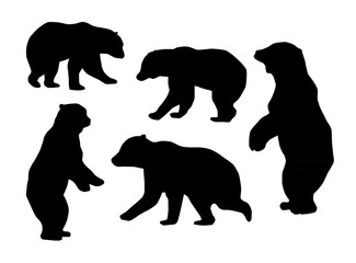 Bear silhouettes on white background