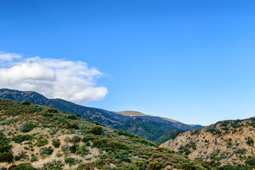 Sun and clouds rise in early morning after spring rain