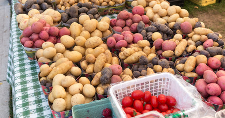 Naklejka na ściany i meble Organic Potatoes at Farmers Market