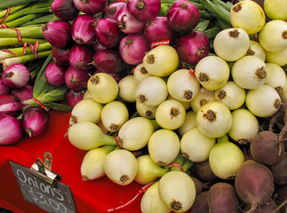 Naklejka na ściany i meble Onions for sale at Farmers Market